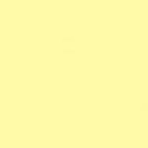 Meet your Posher, Ava